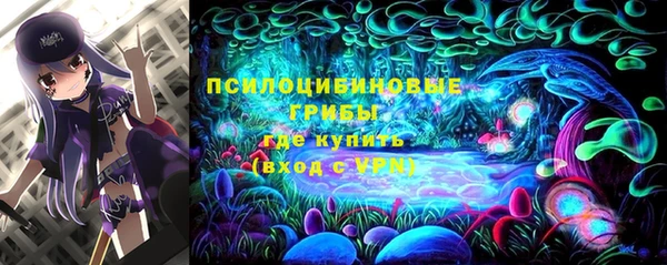 индика Балабаново