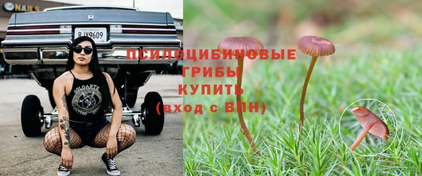 индика Балабаново
