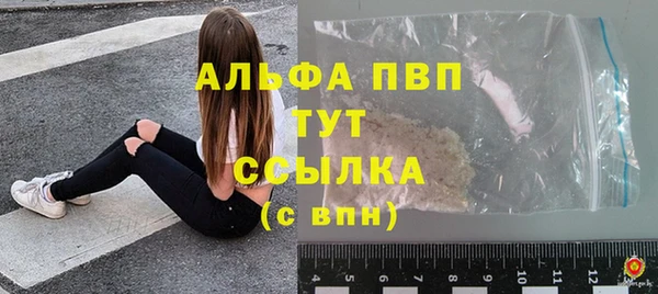индика Балабаново