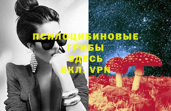 индика Балабаново