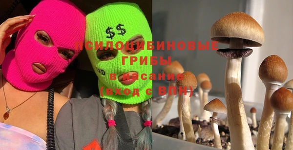 соль курить ск Балахна