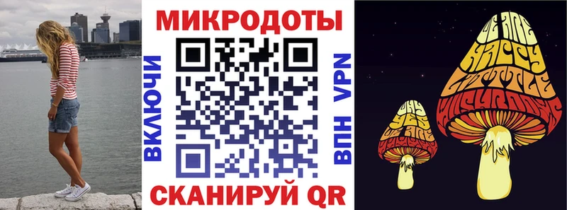 Псилоцибиновые грибы Psilocybine cubensis Озёрск
